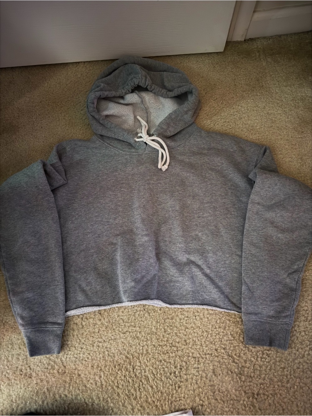 Wild Fable Gray Cropped Hooded Sweatshirt